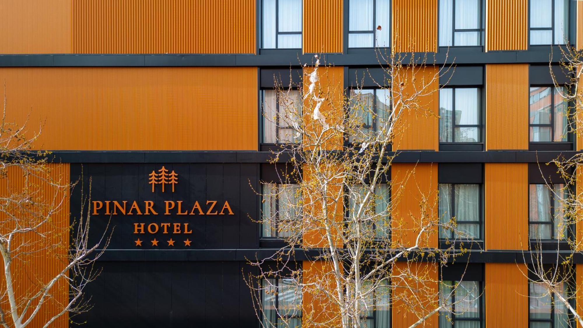 Hotel Pinar Plaza Мадрид Екстер'єр фото